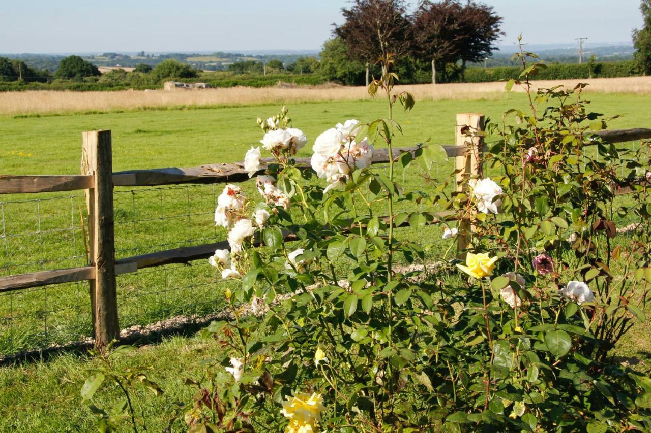 Bewl Rookery B&B Wadhurst Extérieur photo